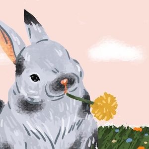 Meet your Posher, Hollie